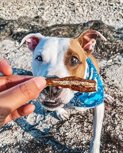 Petiscos Naturais para Cães - Manjuba, 100% Natural, Rico em Ômega-3, Vitaminas e Colágeno, Embalage