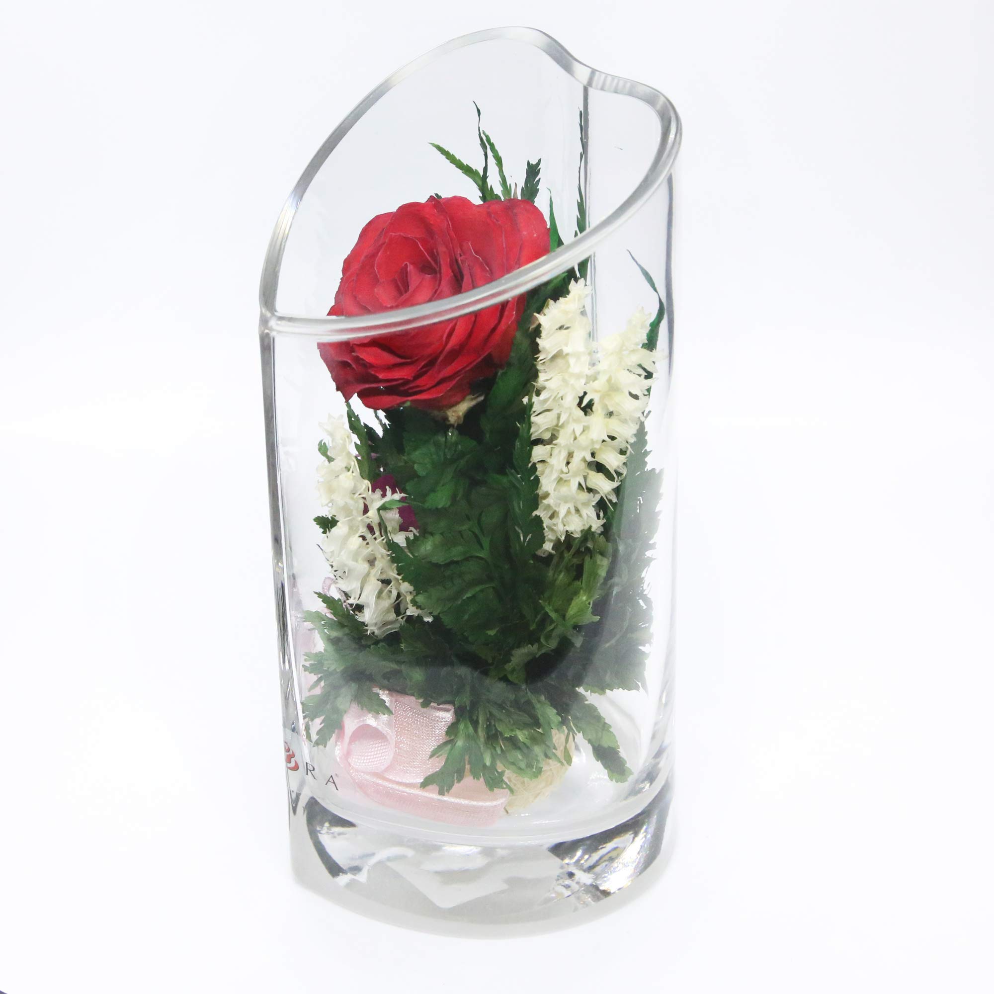 Echte Rosen In Versiegelter Vase – Hält Bis Zu 5 Jahre, Ohne Pflege, Als Geschenk Oder Deko