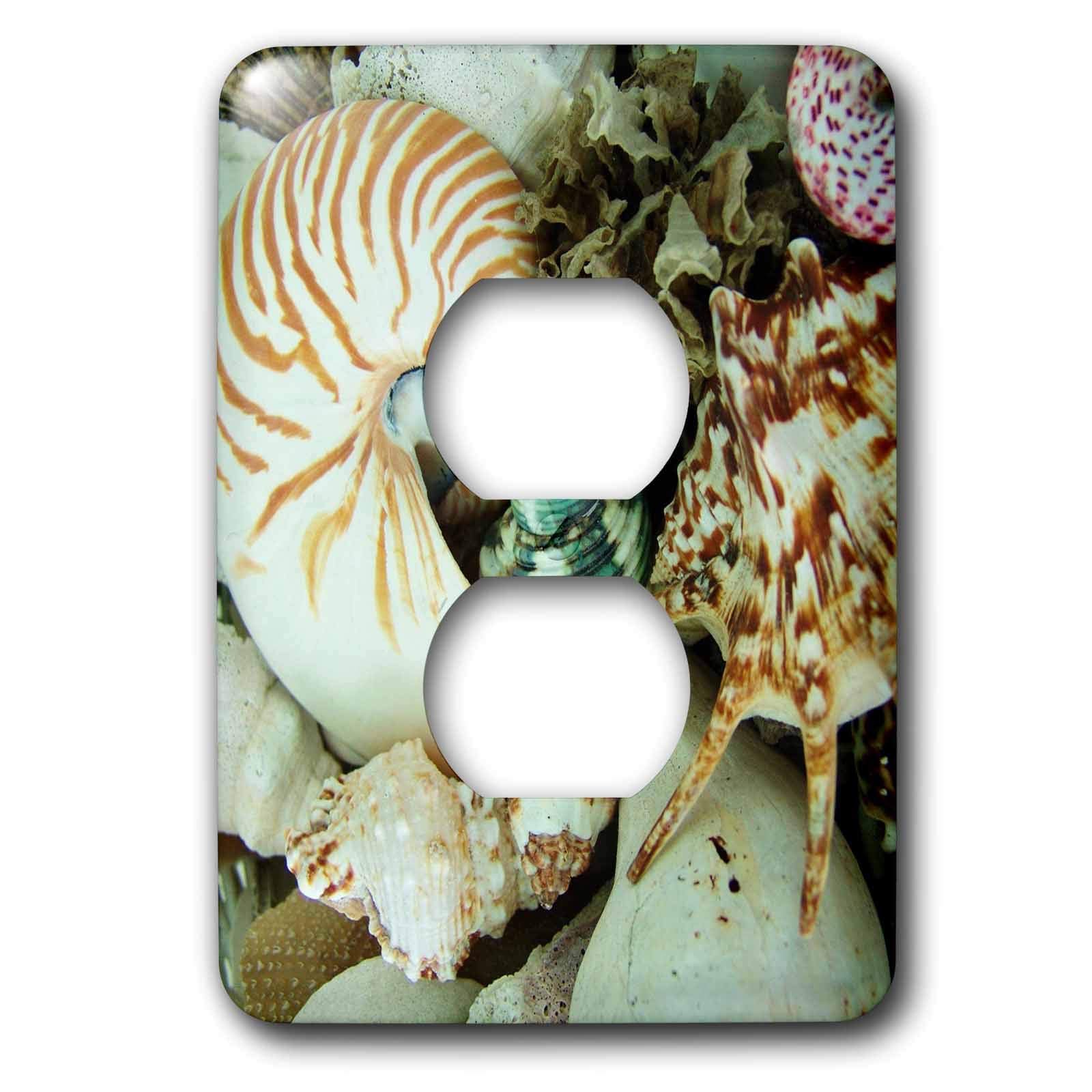 Florida Sea Coquillages cache prise double 3dRose lsp_18983_6 plaque de finition murale 2 prises