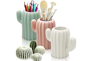 Cactus Themed Gifts: 3-Pack Cute Cactus Pen Holders for a Spiky Desk Setup