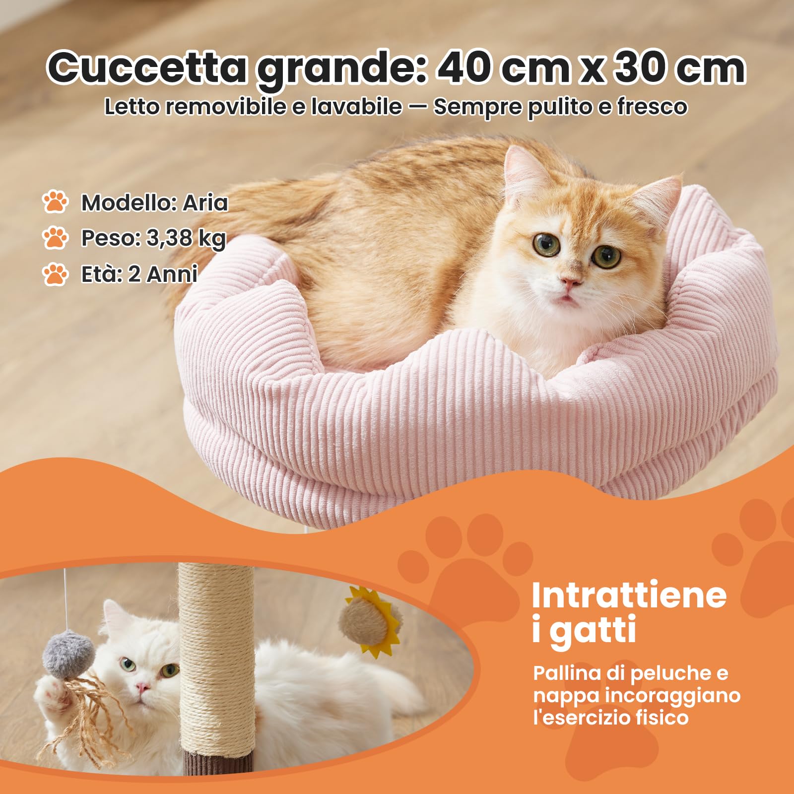 Gardner Pet 50cm Tiragraffi per Gatto, Piccolo Albero per Gattini e Gatti Interni, Rivestimento Rimovibile, Colonna in Sisal, con Giocattolo, Stabile, Marrone, Forma Semicircolare