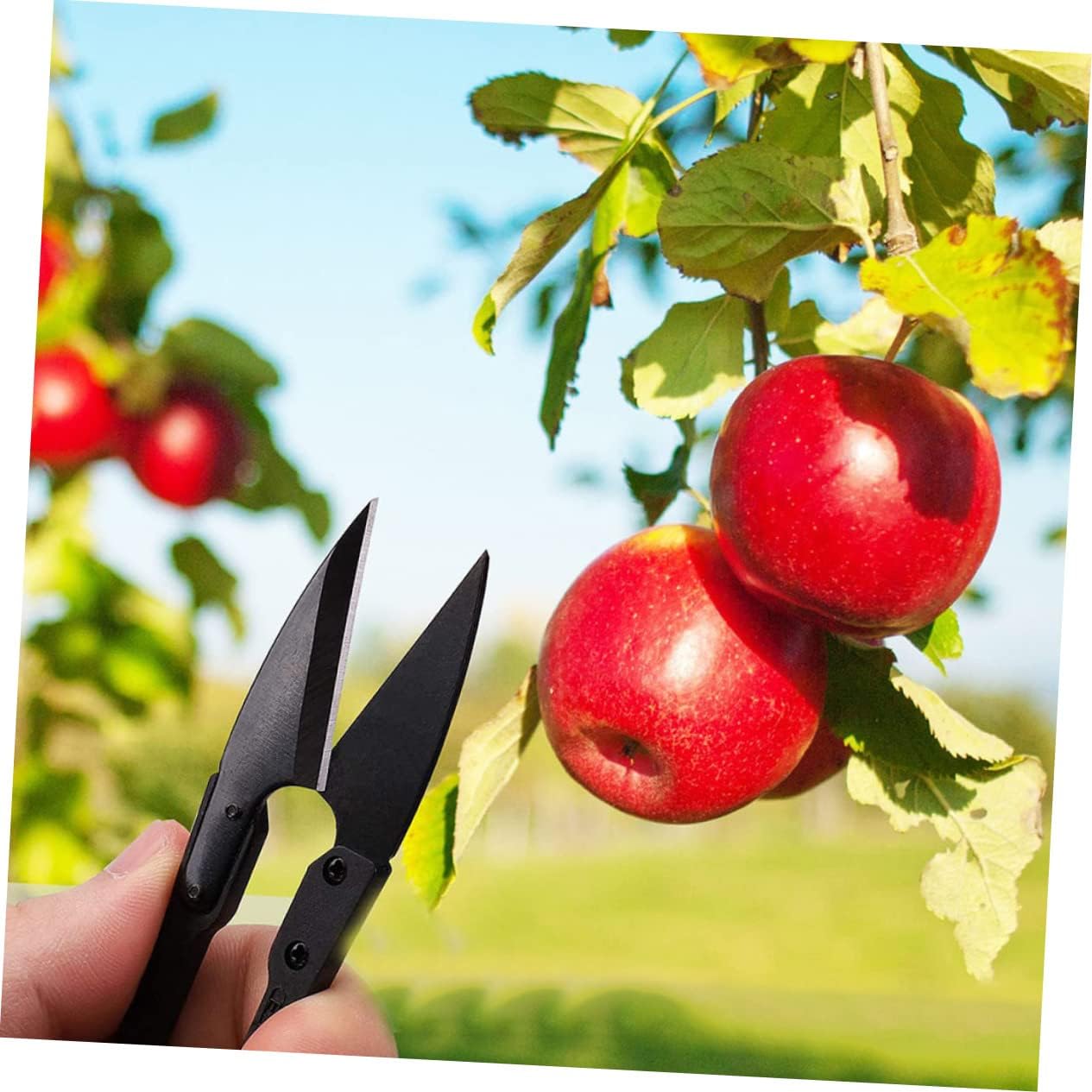 48pcs Bonsai Pruning Scissors Precision Bud and Leaf Trimmers Garden Tool for Detailed Pruning for Flowers and Orchards Handle