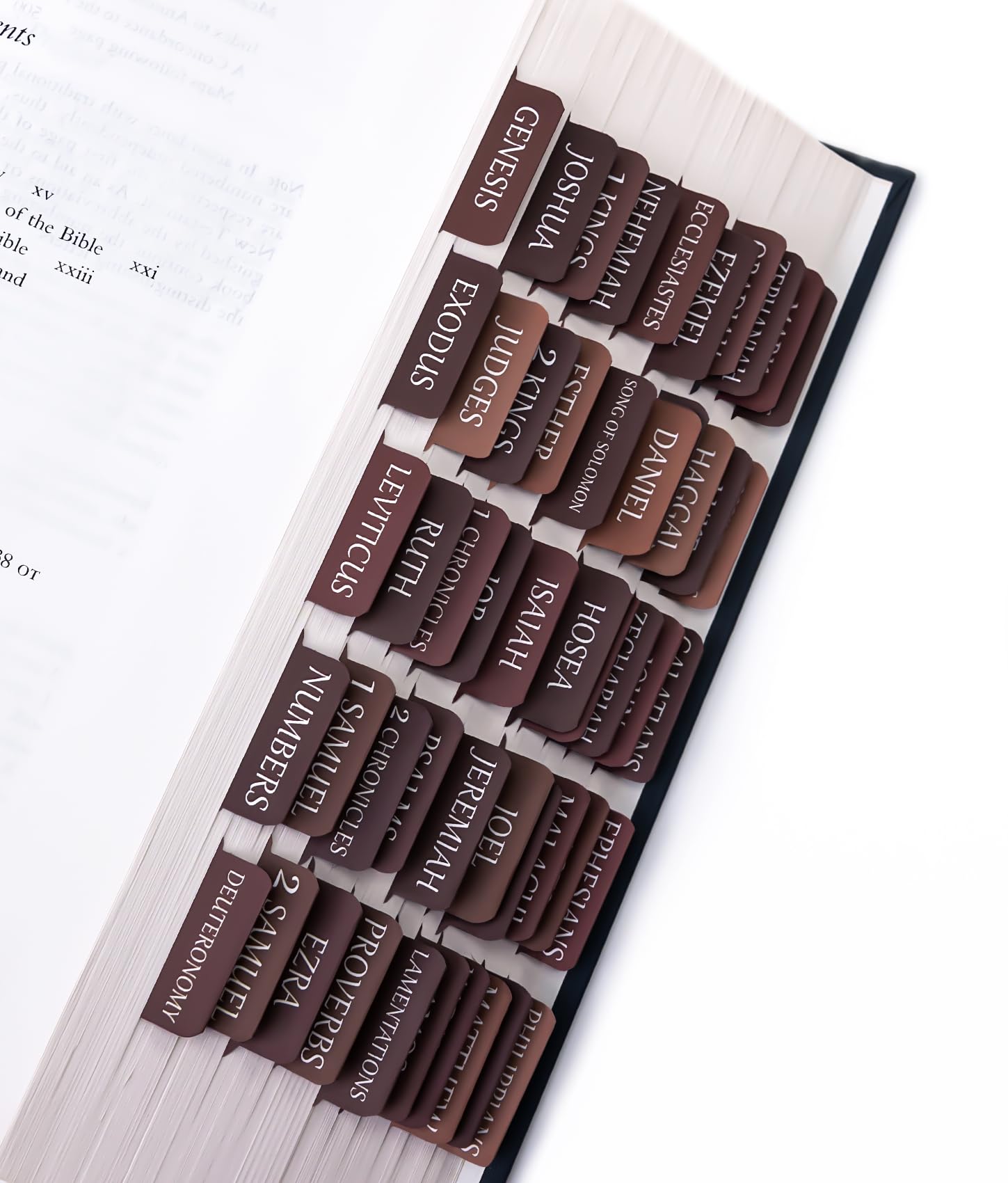 Bible Tabs for Women & Men, Large Print Index Tabs for Study Bibles, Brown: A Review