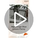 Image of WallDesign Blue Lemon Pansy Tile Self-Adhesive Sticker - 19.2 x 28.8 Inch Waterproof Easy Clean Durable Vinyl Decorative Film for Kitchen Counter, Washbasin, Table, Wall, Cupboard