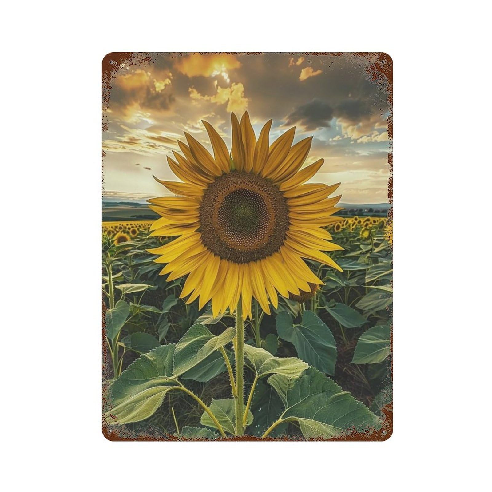 YHGERTKU Dramatic Stormy Meadow Vibrant Yellow Bloom Scene 01 Wall Art Retro Iron Vintage Metal Tin Sign Poster Modern Decor for Living Rooms Gift 40x30cm