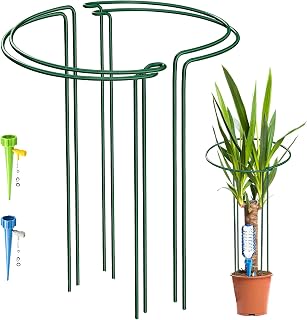 4 Pack Large 60cm Tall Bow Plant Support Stakes, 4mm Strong Metal Garden Supports Green Half Round Flower Hoops with 2 Self Watering Spikes for Peonies, Hydrangea, Interlinking to Make Rows, Circles