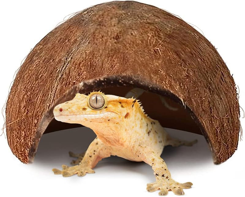 Esconderijo de Coco SunGrow para Gecko-Crestado, com Área de Escalada e Descanso, 12,7 x 12,7 x 7,62 cm