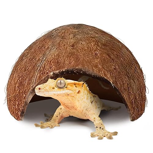 SunGrow Coconut Hut for Crested Gecko, 5x3 Inches Reptile Climbing