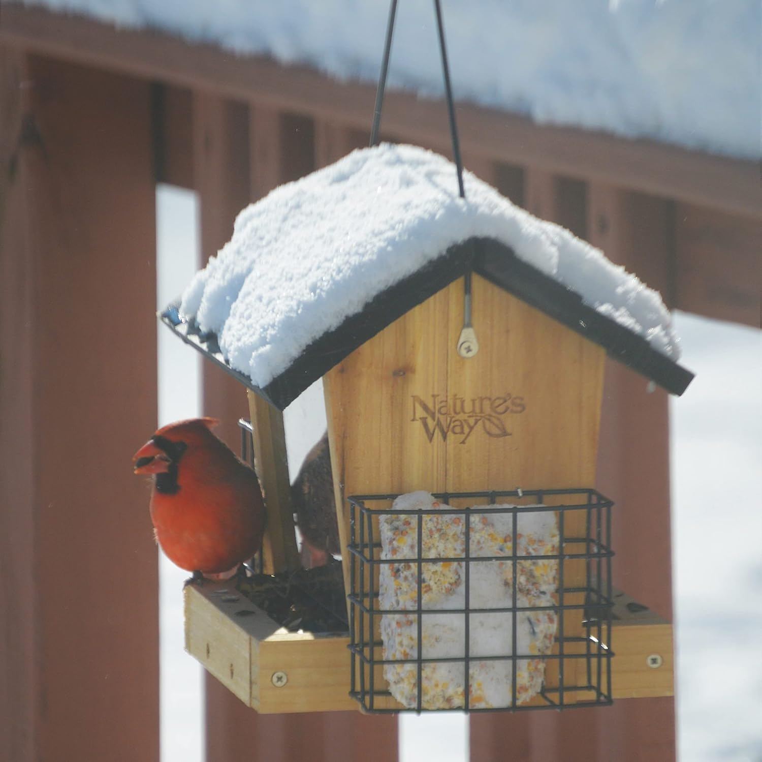 Nature's Way CWF28 Cedar Hopper Bird Feeder with Suet Cage, 8 x 12.5 x 8.5, Black
