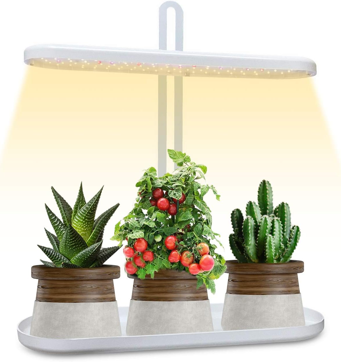 Grow Light LED Plant Light for Indoor Plants, New Generation Desk Grow Light with Timer, Plant Light, Grow Lamp Growing Lights Full Spectrum UV Grow Lights