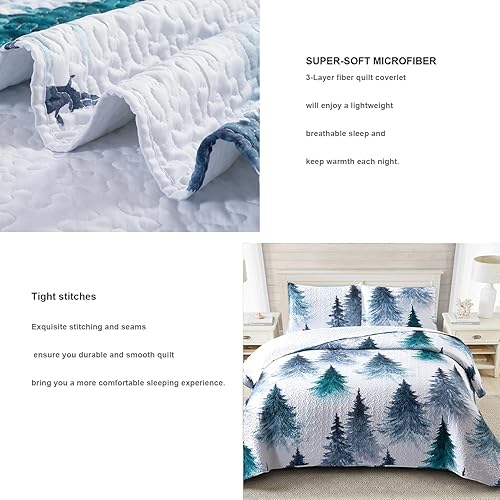 Miniatura 5 de Juego de edredón de Navidad, tamaño Queen, reversible, color verde, juego de ropa de cama de microfibra suave para todas las estaciones