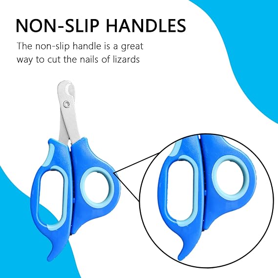 Call Duck Nail Clippers with Nail File,Stainless Steel Call Duck Chicken Hen Roster Goose Toe Nail Clippers Professional Grooming Pet Tool for Small Breed Animals