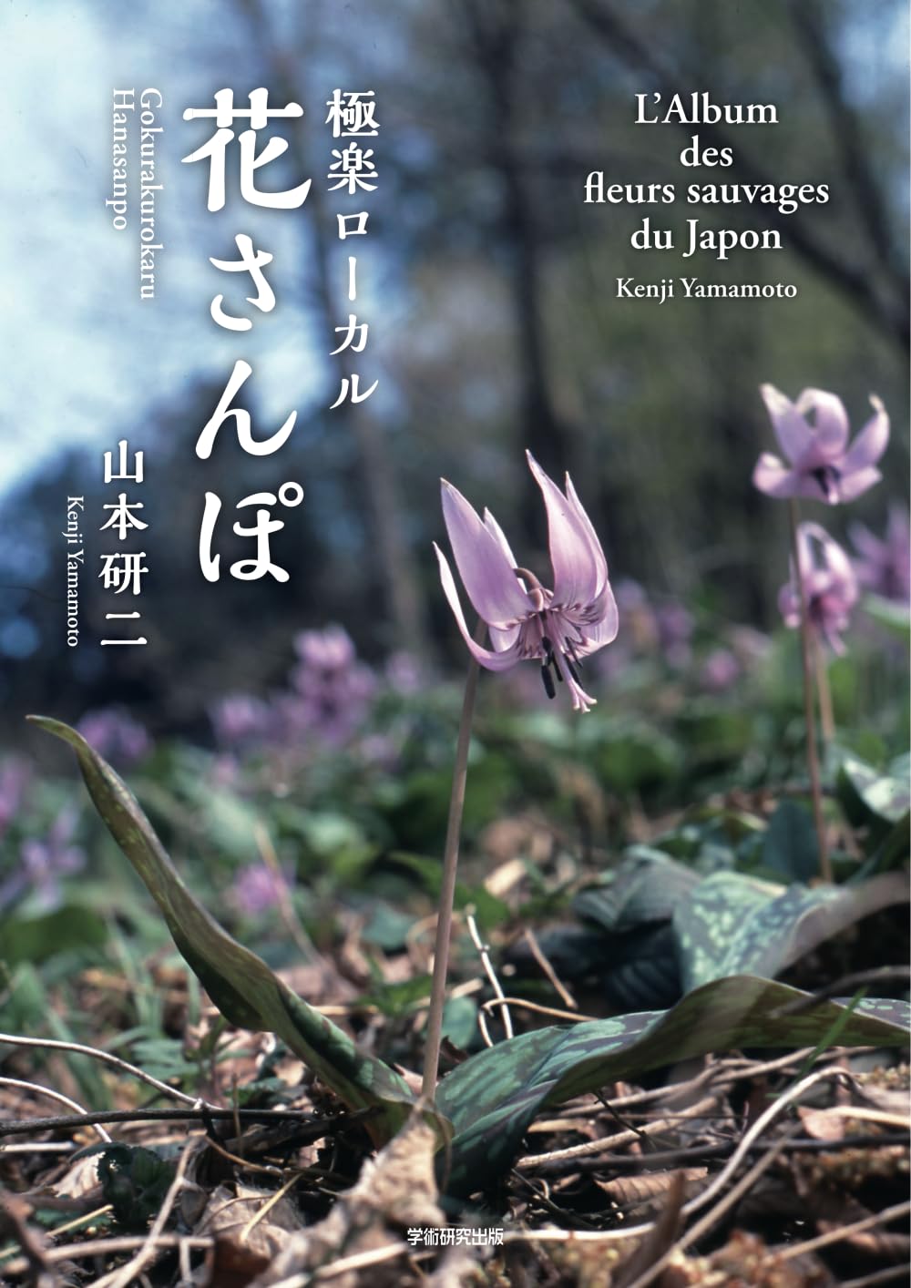 L'Album des fleurs sauvages du Japon l'idée cadeau idéale pour amateurs de culture nippone