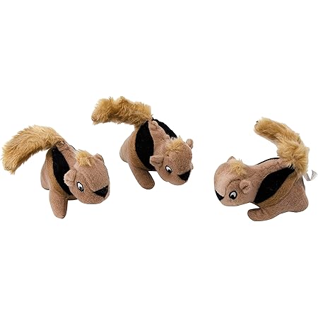 amazon squirrel dog toy