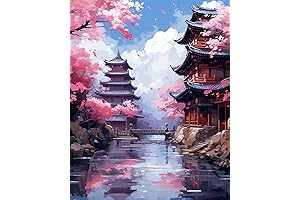 FITIMOLO DIY Paint by Numbers Canvas Kit, Embark on a Creative Journey...