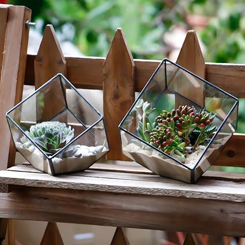 Miniatura 6 de Contenedor geométrico de vidrio para terrarios, maceta de mesa, decoración de maceta de vidrio, caja de exhibición de vidrio para suculentas y