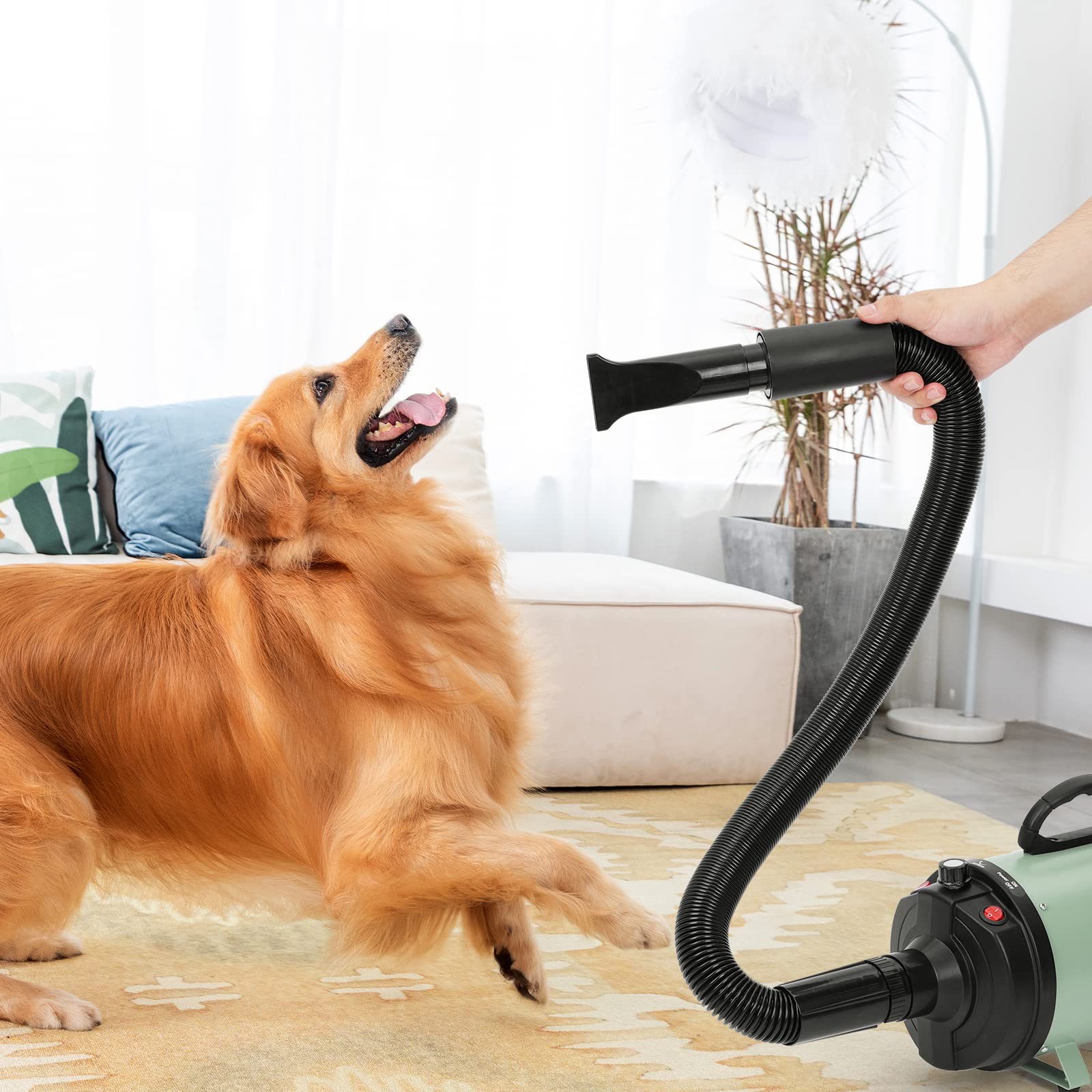 XKISS Soffiatore per Cani 3200W/4.5 PS, Asciugatore per Cani,Continua con velocità e Temperatura Regolabile Asciugacapelli per Animali Domestici, con 4 Ugelli Diversi (Verde)