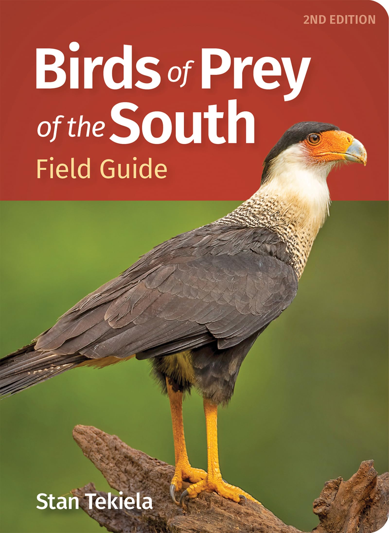 Birds of Prey of the South Field Guide (Bird Identification Guides)