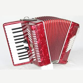 Accordion Bayan 32/48/60/96/120 basses with four reeds for beginners, with original bag, original strap, music stand, gloves, music clip, cleaning cloth, etc. (18)