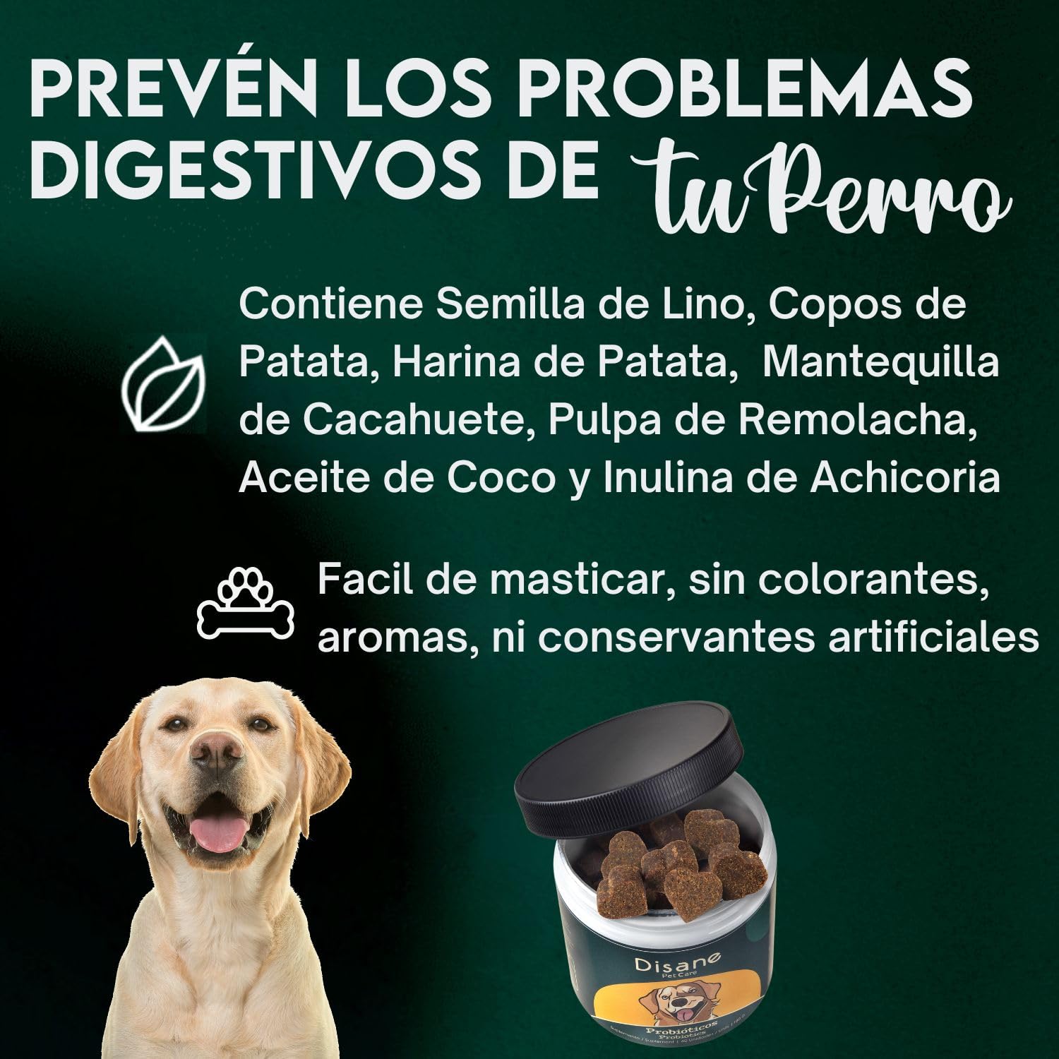 Disane Probióticos para Perros Natural | Complemento Alimenticio para la Mejora de la Flora Intestinal, Bienestar Digestivo, Diarrea, Alergias Antipicores | Sabor Carne | 60 Unidades