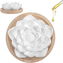 Aromatic Stone Lotus Fragrance Diffuser Stone