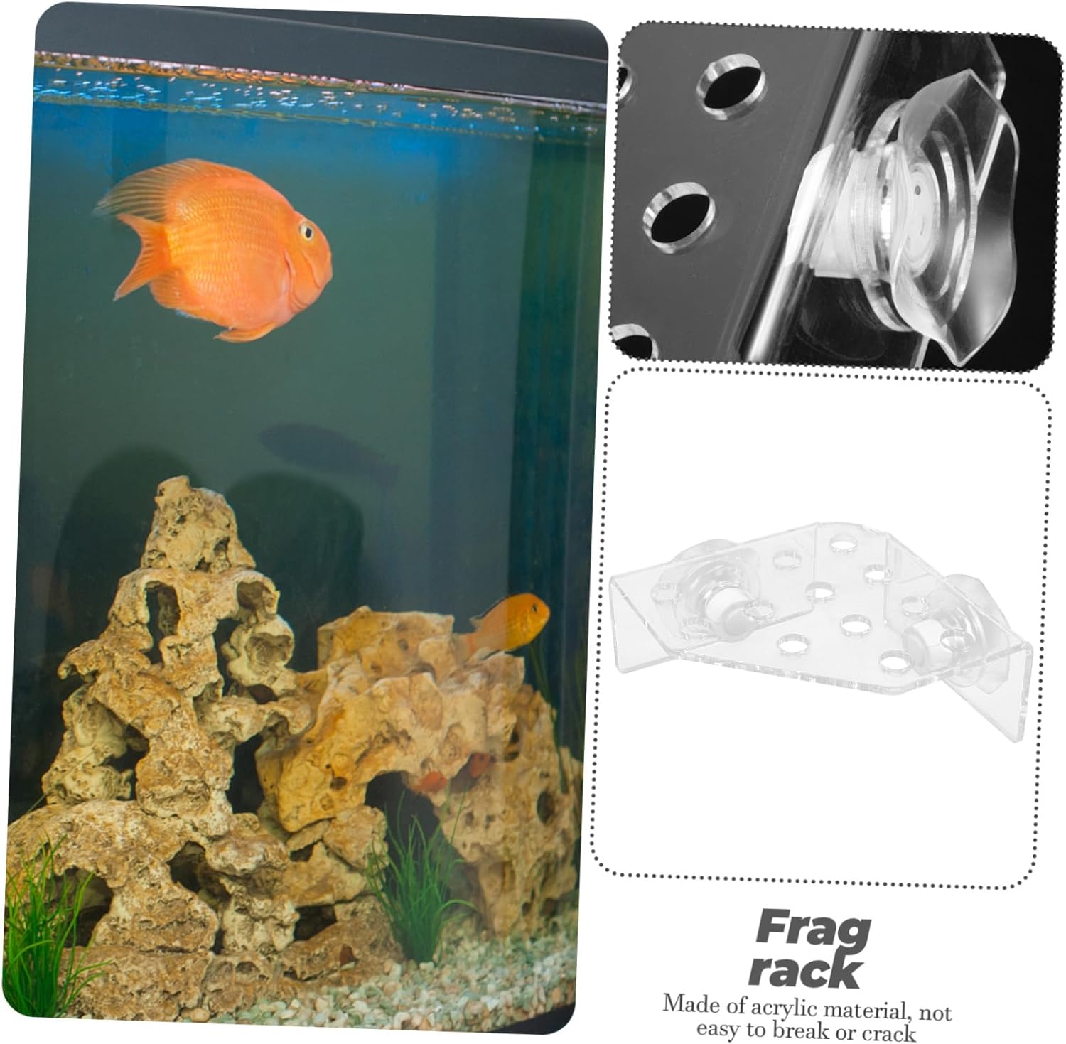 Housoutil 5pcs Coral Rack Acrylic Holder for Fish Tank Practical Coral Stand for Aquariums and Decoration Convenient Support and Display