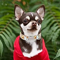 Vista 141 de Unique Style Paws - Collar rosa con hebilla de metal, duradero y lindo para perros pequeños a grandes