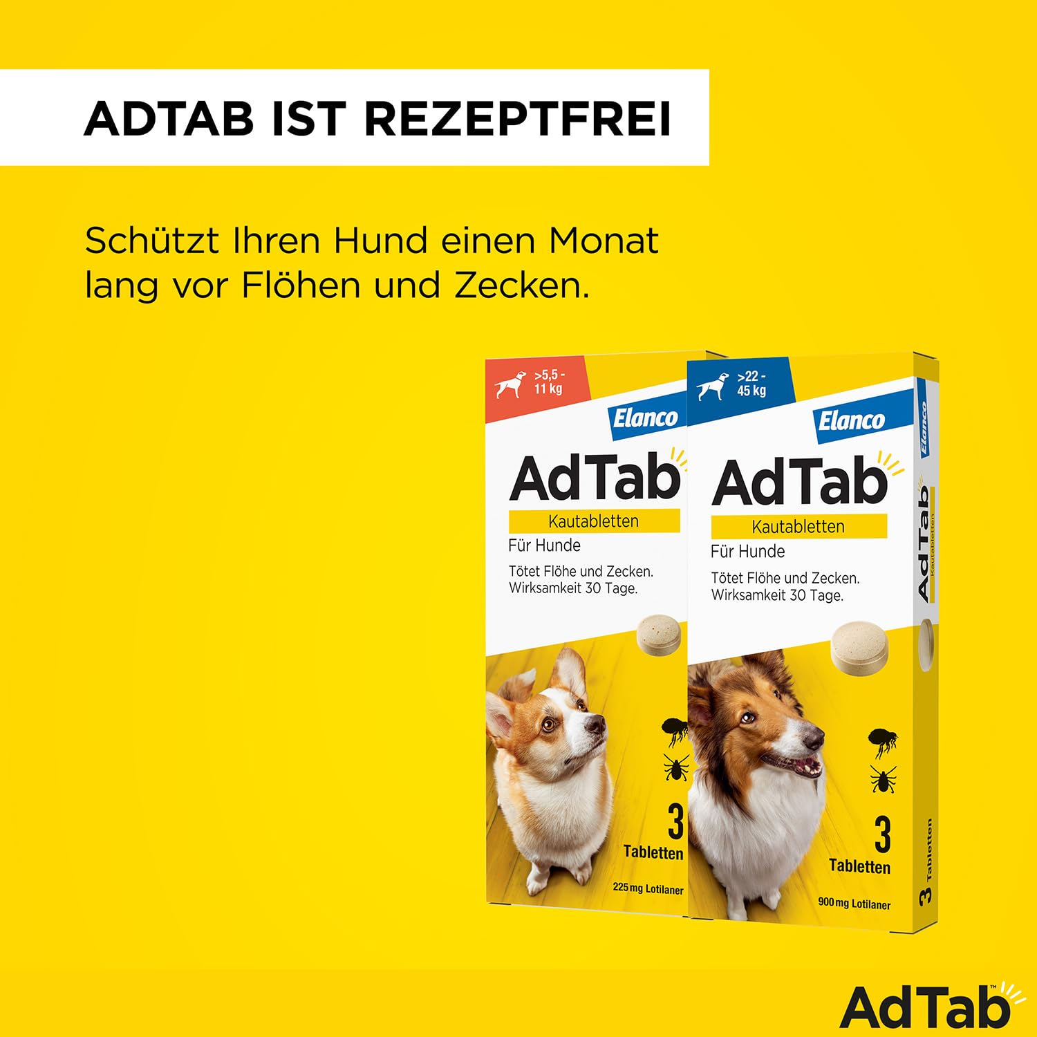 AdTab Kombi-Set: Zecken- & Flohschutz für 2 Hunde in verschiedenen Größen (>5,5-11 kg & >22-45 kg), 2 Packungen mit je 3 Kautabletten, einfach zu verabreichen & schmackhaft