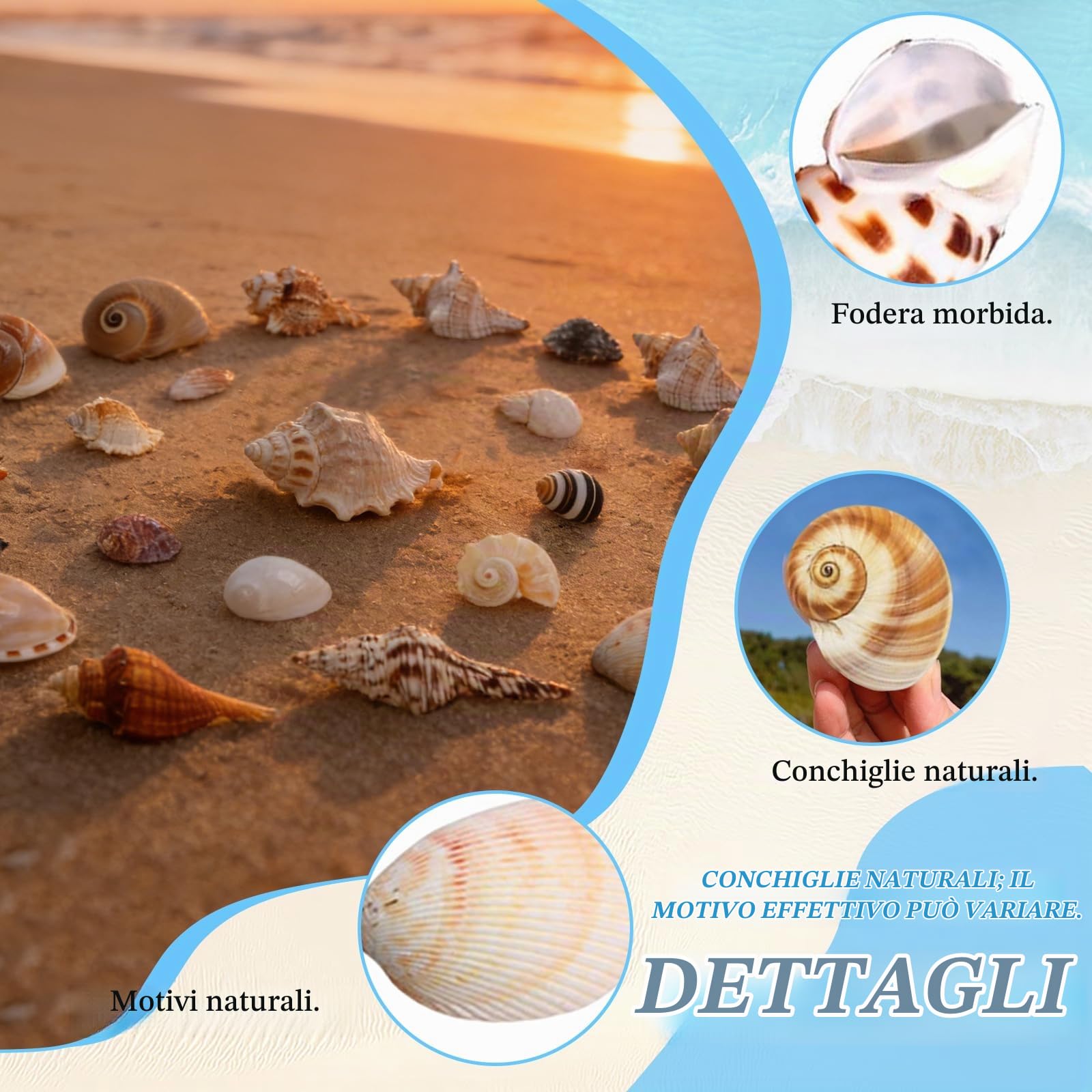 21 Pièces Conchiglie di Mare Naturali, Set di Conchiglie dis Mare, Decorazioni Acquario Conchiglio Miste da Spiaggia, 3-9 CM Acquario Piccolo Conchiglia Per Shell Decorazione Acquarios