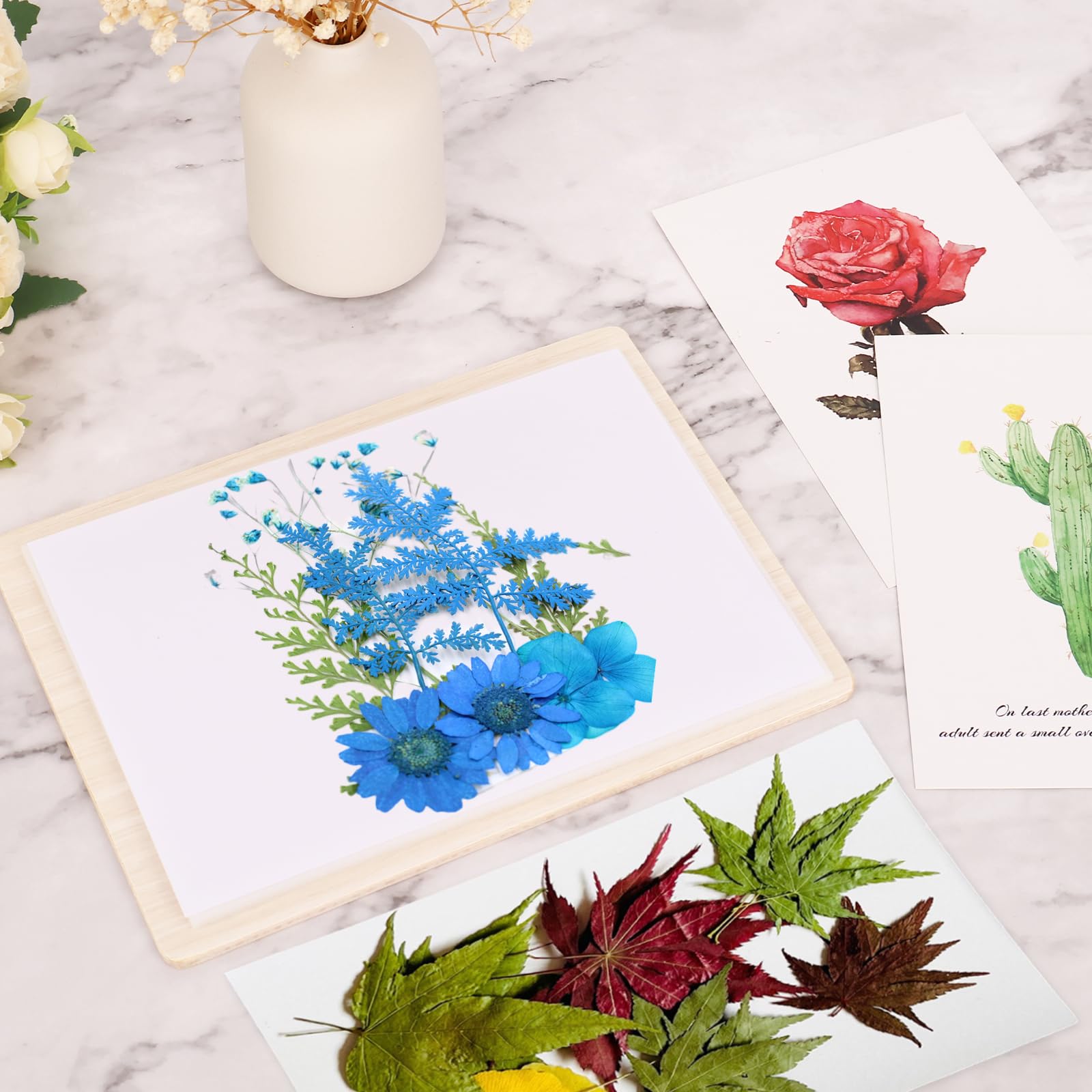 View 6