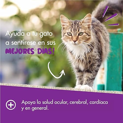 Miniatura 9 de Pet Naturals Multivitamínico diario para gatos con biotina taurina y arginina 30 masticables con sabor a pescado