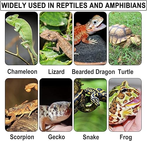 Miniatura 8 de 2 alfombras de reptil de 23.6 x 15.7 pulgadas, terrario, revestimiento de sustrato para lagartos, tortugas, serpientes, dragón barbudo, suministros