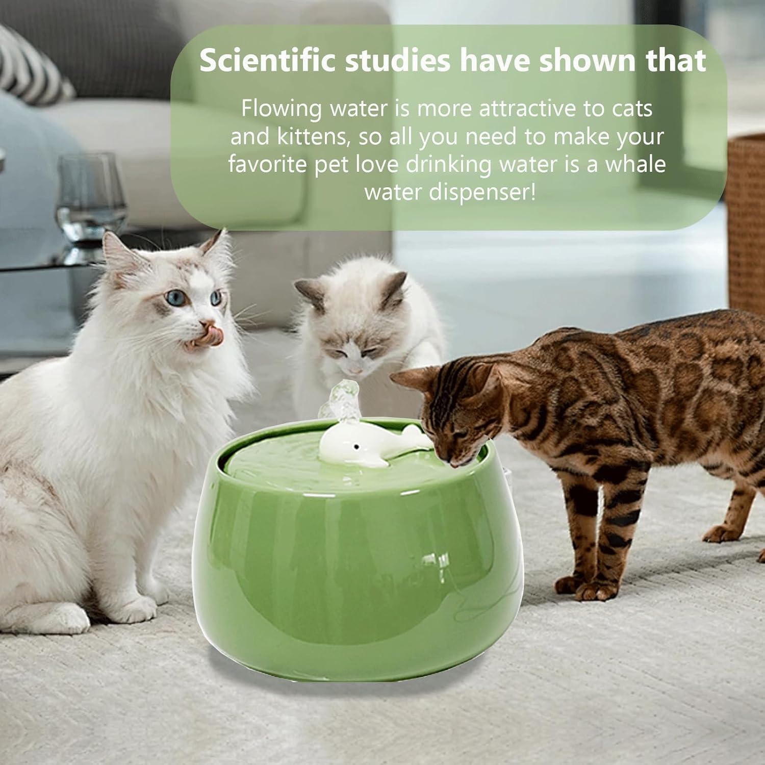 Fuente de agua de cerámica para gatos, 1.3L/45 onzas, cuencos de alimentación y bebida para mascotas, fuentes automáticas para gatos, cuenco ultra silencioso para gatos y perros, dispensador de agua