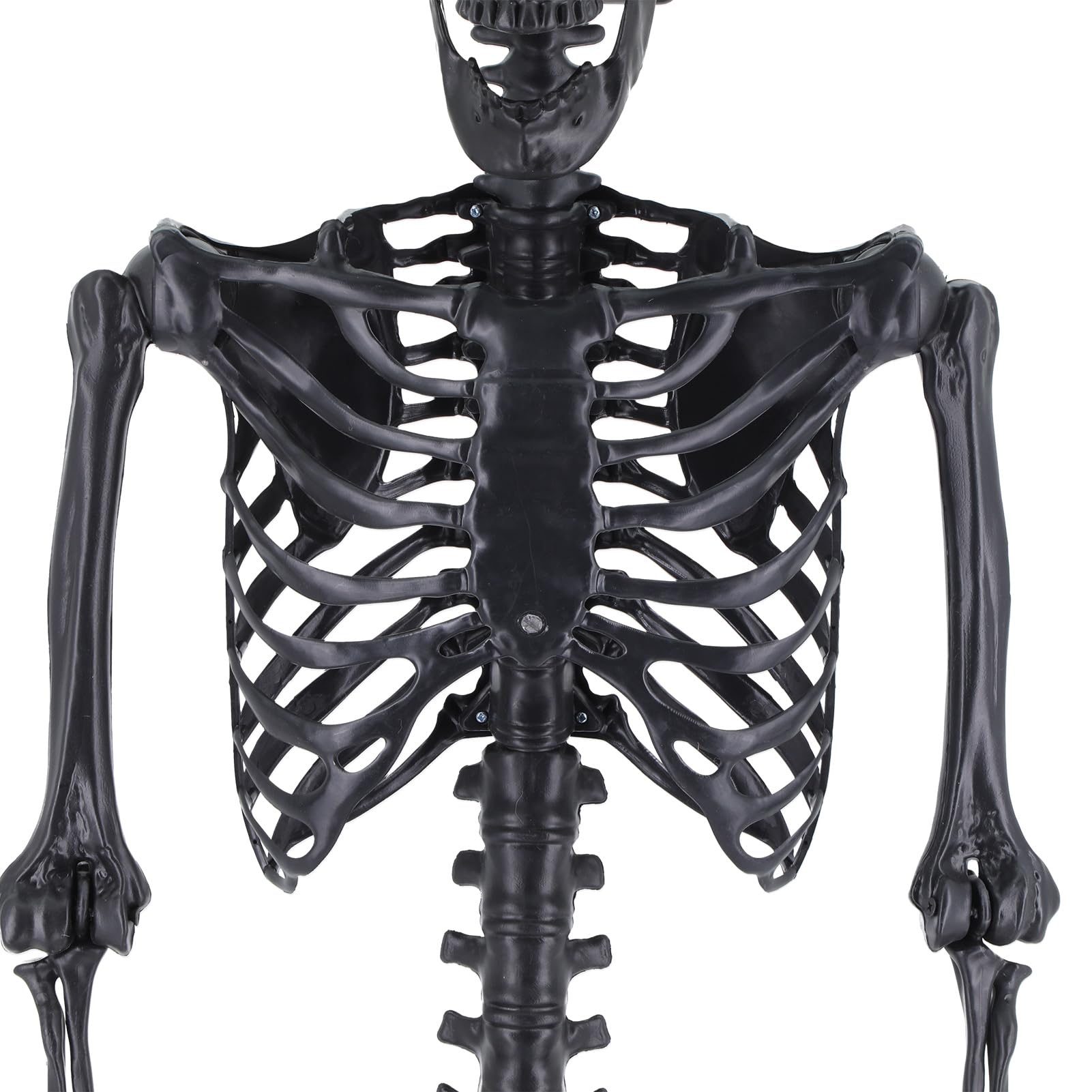 Scheletro di Halloween a grandezza Naturale, Scheletro Gigante di 1,65 m, Decorazione a Forma di Scheletro per Feste e Bar, Decorazione a Forma di Scheletro Nero per Halloween con