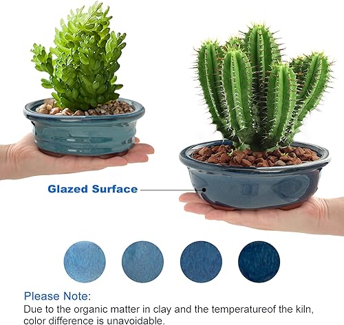 Miniatura 4 de Maceta Bonsái suculenta de 5.7 pulgadas y 7 pulgadas, juego de 2 + 4 pantallas de drenaje de malla suave