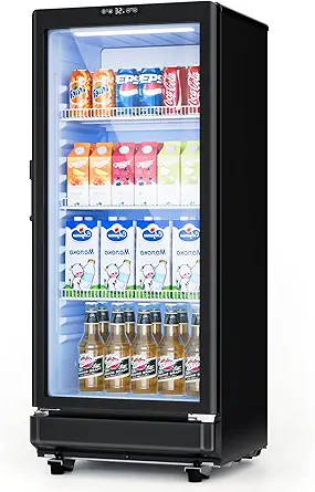 6 Cu.Ft Commercial Refrigerators, Display Fridge with Double-Tempered Glass Door, Beverage Cooler for Bar, Office, Restaurant, Outdoor Beverage Refrigerator with Locking, Key & LED