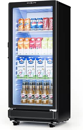 6 Cu.Ft Commercial Refrigerator with Double-Tempered Glass Door, LED Display, Locking, for Bar, Office, Restaurant, Outdoor