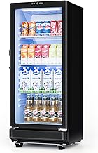 ICEVIVAL 6 Cu.Ft Commercial Refrigerators, Display Fridge with Double-Tempered Glass Door, Beverage Cooler for Bar, Offic...