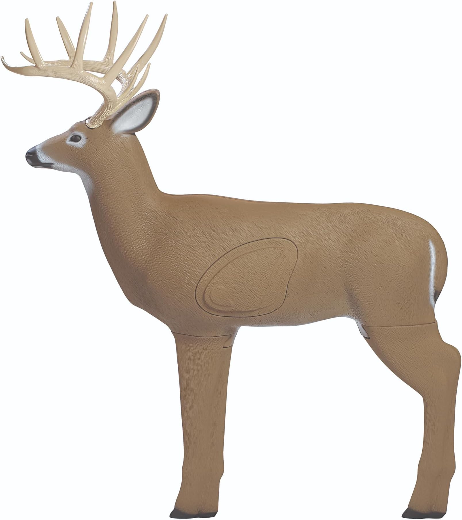 Shooter Buck Target