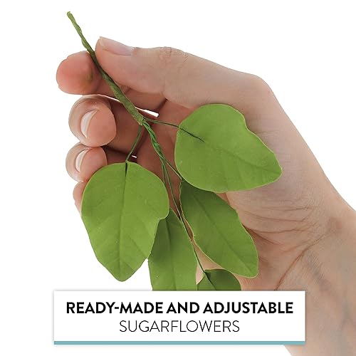 Miniatura 5 de Global Sugar Art Spray verde claro de 5 hojas para pastel de azúcar, 4 unidades por Chef Alan Tetreault