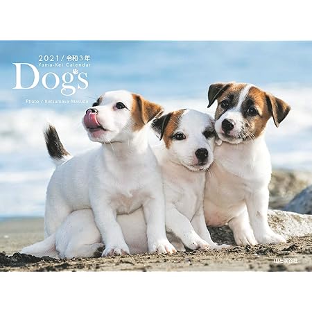 Amazon 365カレンダー 21年 日本犬 カレンダー 壁掛け 卓上付き 21 015 カレンダー 文房具 オフィス用品