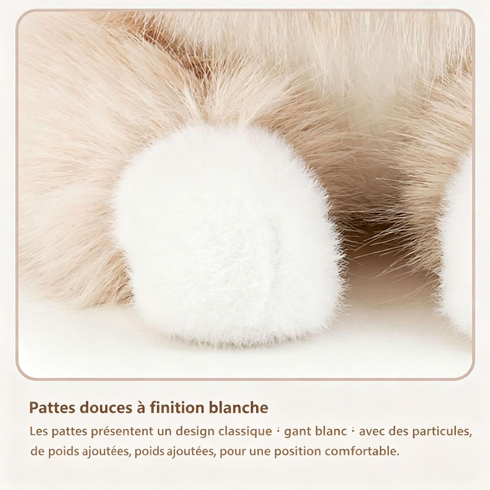 AMOSIJOY Peluche Chat Ragdoll, Réaliste Peluche Chaton Lestée, Moelleuse et Douce (B,65cm)