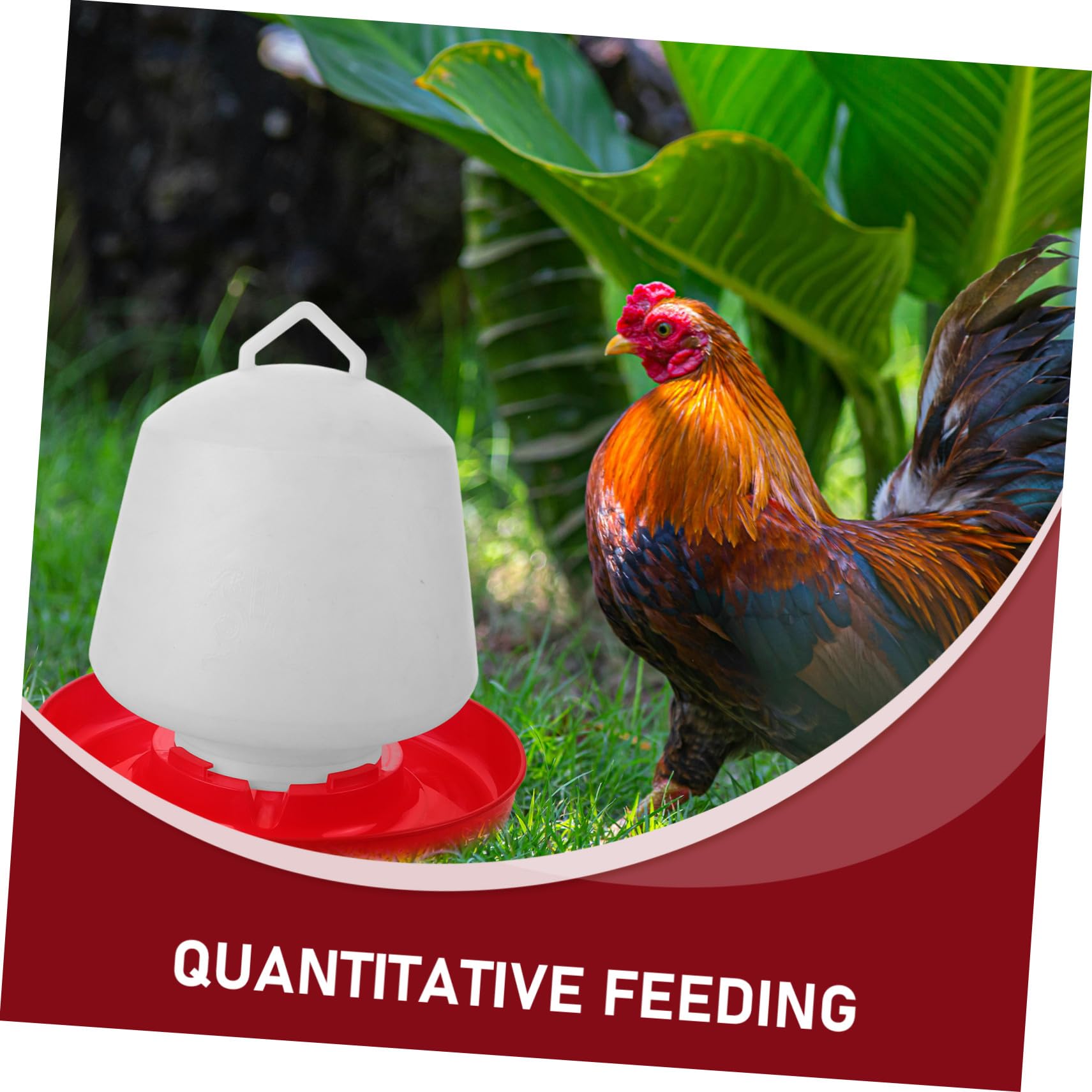 Mangiatoia per Galline Resistente alla Pressione e Protezione Solare in Plastica Bianca Design Creativo Forme a Vasca Adatta per Uso Esterno