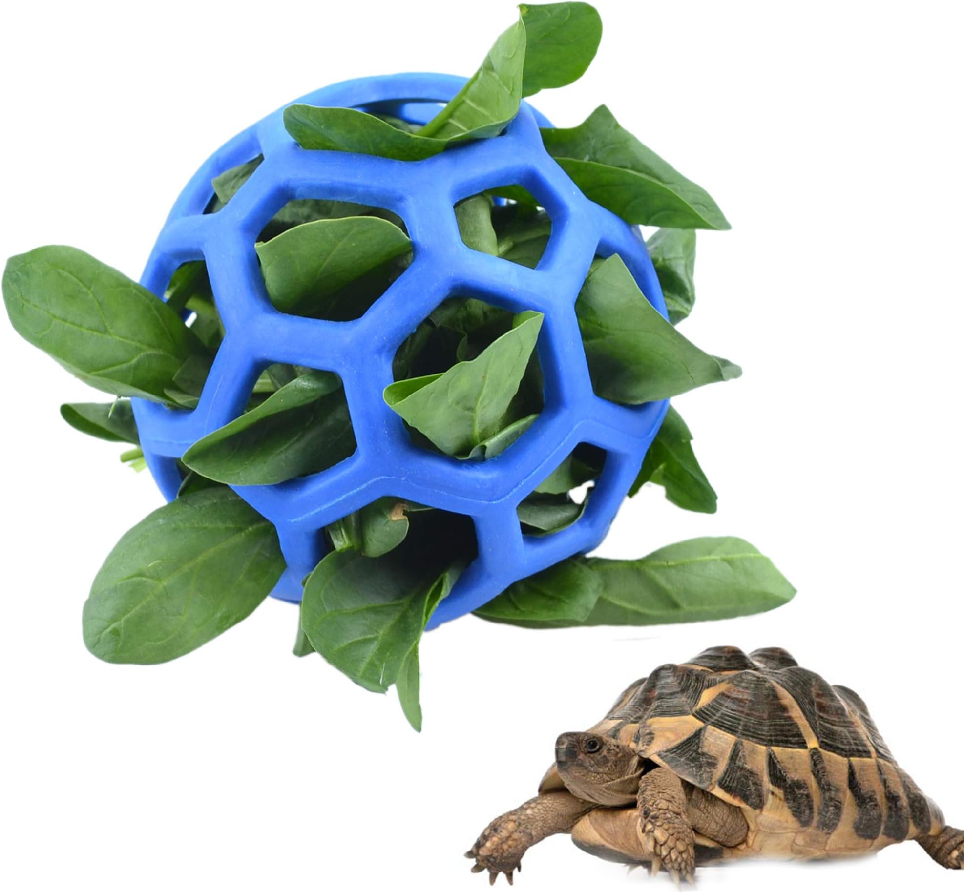 Tortoise Treat Ball Fruit Vegetable Feeder Holder Foraging Toy for Pet Tortoise Turtle