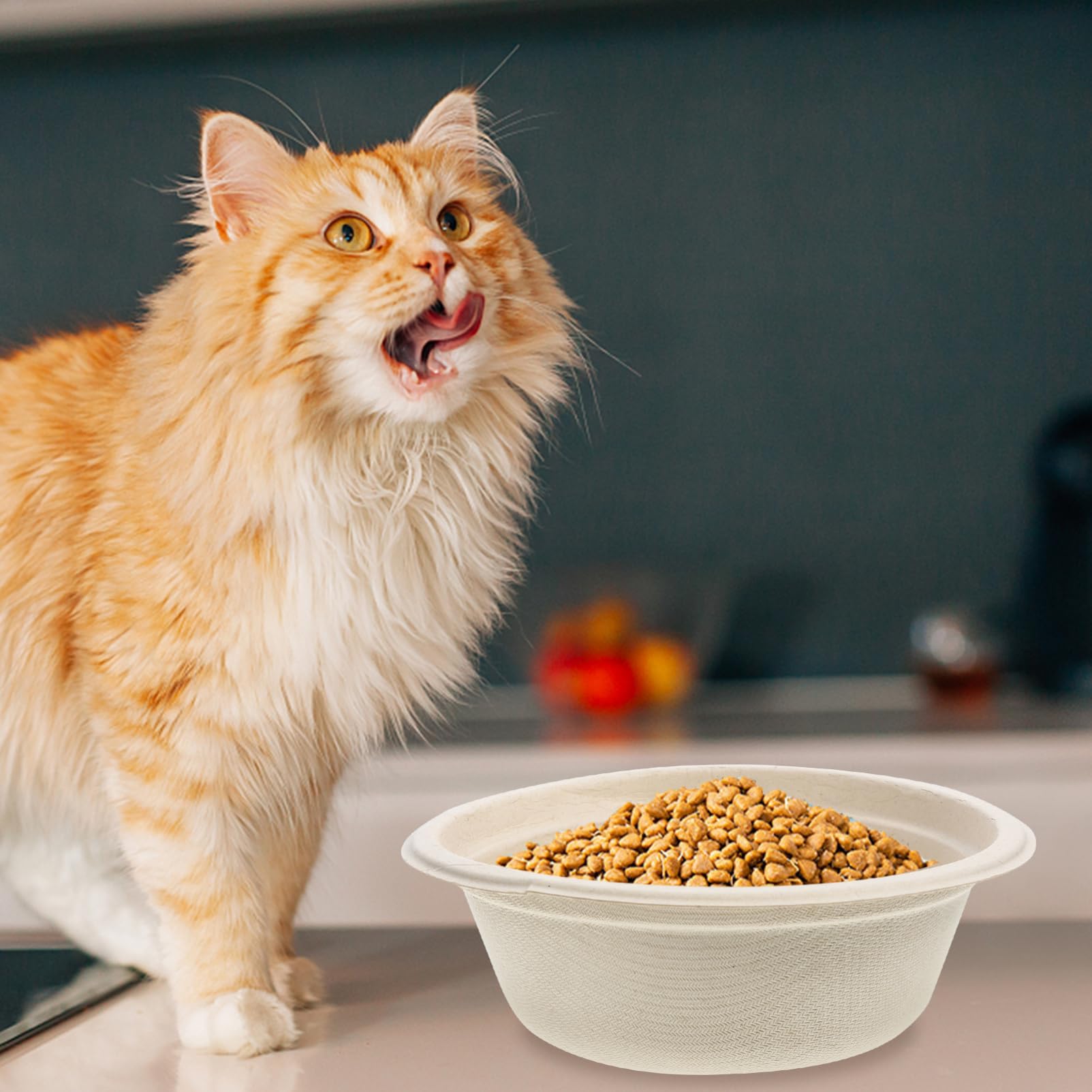 Happyyami Water Bowl for Small Breed Dogs Cat Bowl Pet Feeding Set Disposable Reusable 350ml Bamboo Style