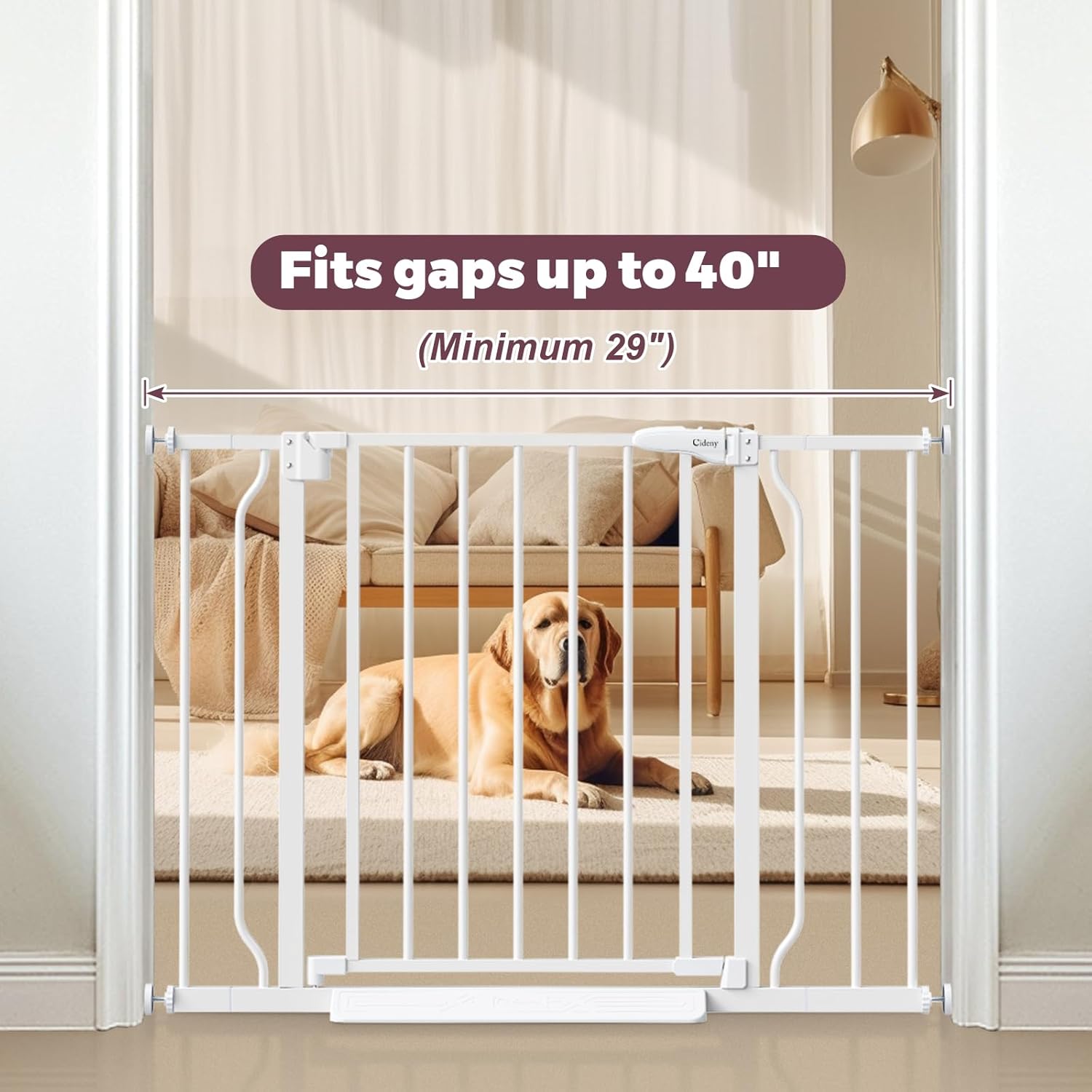 https://m.media-amazon.com/images/I/71UTu3EOTqL._AC_SL1500_.jpg