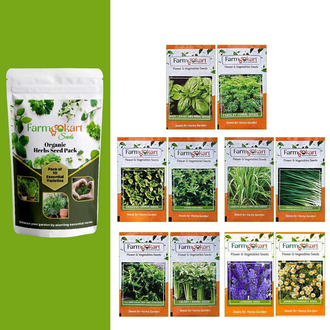 10-variety Essentail Herbs Seeds combo pack for Home Gardening | Grow your own Herbs |