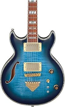 Amazon.com: Ibanez AR520HFM Hollowbody Electric Guitar - Light