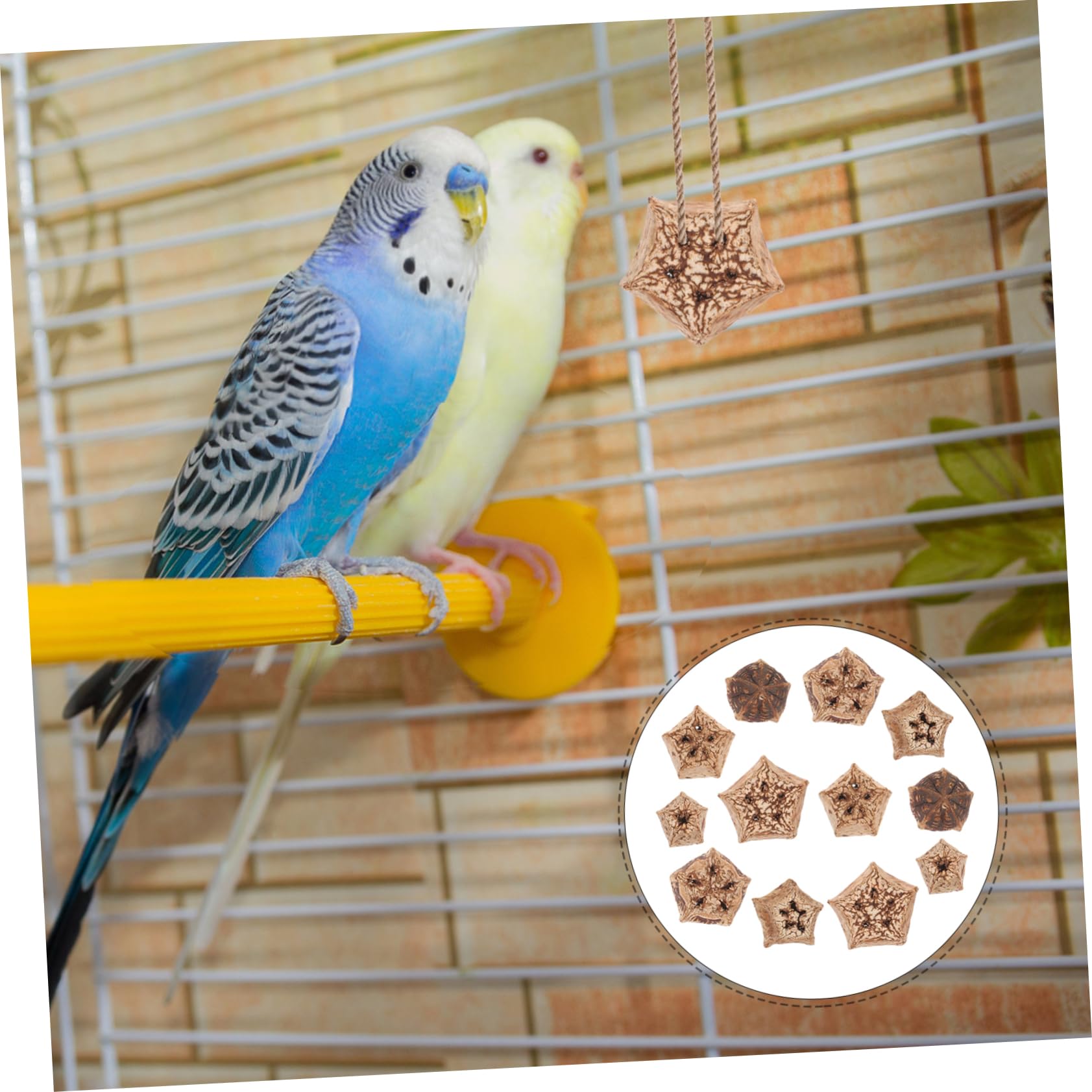 Kalzium-Kauspielzeug Für Vögel – Zum Zähneschleifen Und Beschäftigen Für Papageien, Sittiche & Nymphensittiche