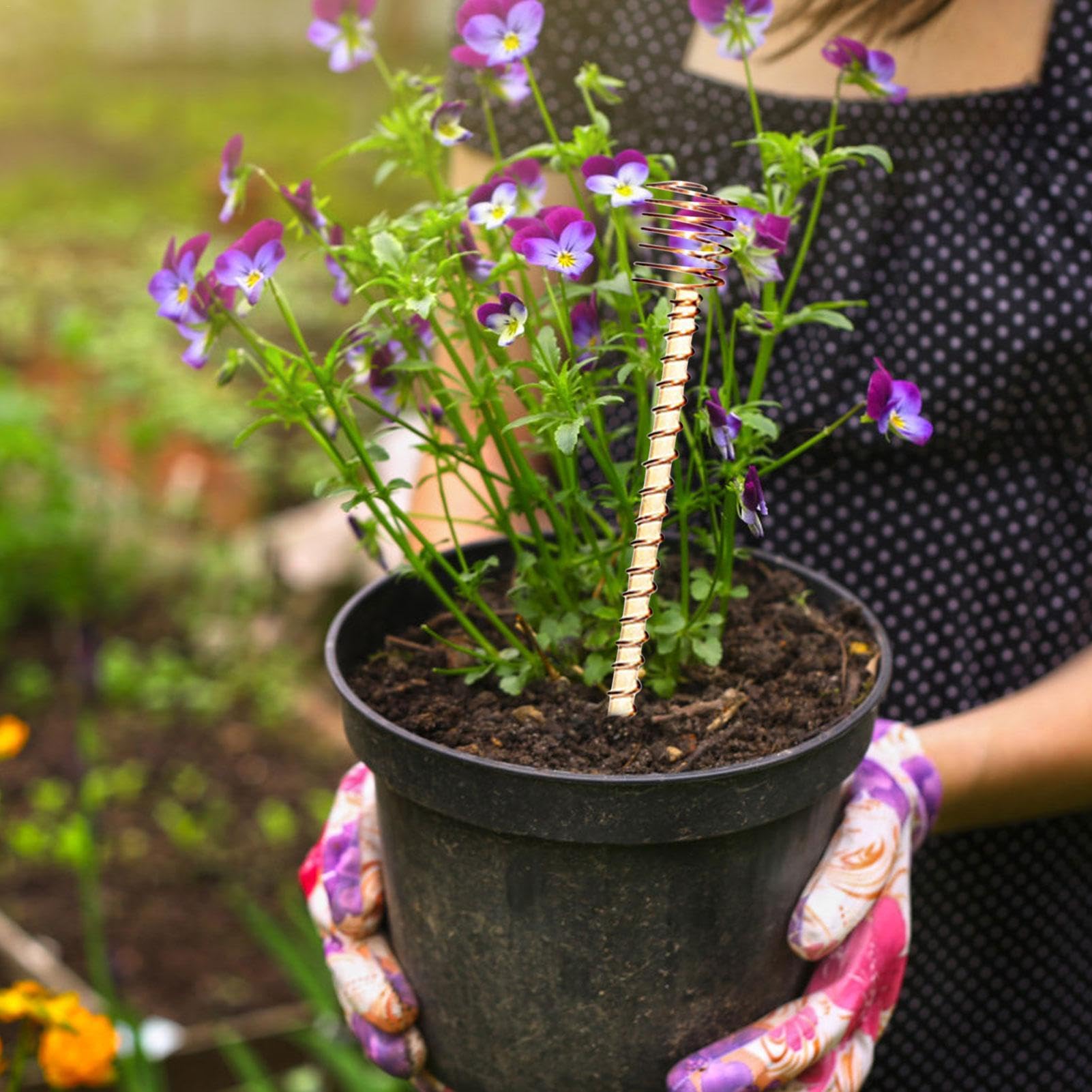 6 Kupfer-Gartenspiralen - Elektrokultur Pflanzenhalter Für Blumen Und Gemüse, 20 Cm Spiralförmige Stäbe